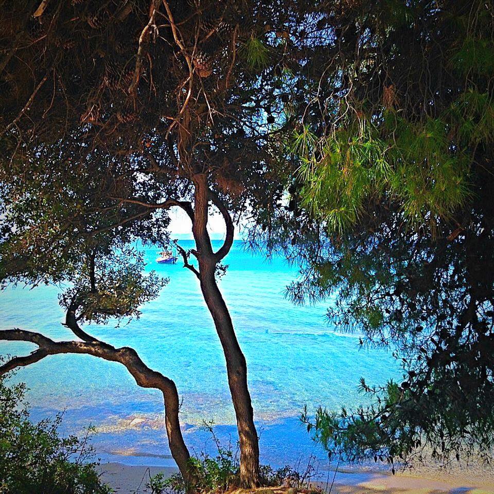 Olivelias Beachfront